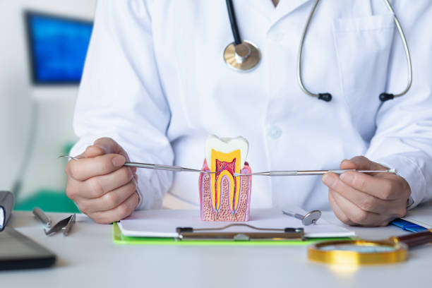 Best Mobile Emergency Dentist in South Portland, ME